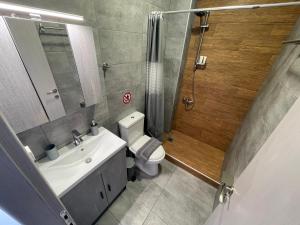 een badkamer met een toilet, een wastafel en een douche bij Boutique At Historic Centrum 2 in Ioannina