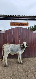 a goat standing in front of a wooden fence at Casa de Huespedes - NaturaLove in Monguí