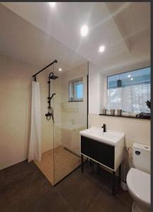 uma casa de banho com um lavatório, um chuveiro e um WC. em Apartment Iris bedroom living and parking voucher vacanță em Baia Mare