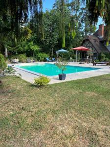 ein Schwimmbad mit einer Pflanze im Hof in der Unterkunft La Faisanderie in Saint-Florent-sur-Cher