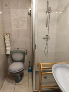 een badkamer met een douche, een toilet en een wastafel bij La Faisanderie in Saint-Florent-sur-Cher