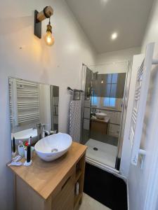 een badkamer met een witte wastafel en een douche bij Apt 4personnes idéal pour les JO in Boulogne-Billancourt