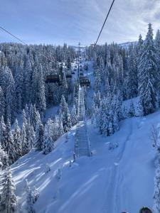 a ski lift in the snow with snow covered trees at Gasthof Skirast in Kirchberg in Tirol