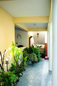 Φωτογραφία από το άλμπουμ του Cole Bay Apartments nearby Marinas σε Koolbaai