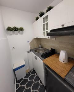 Kuchyň nebo kuchyňský kout v ubytování Blue Star Apartments