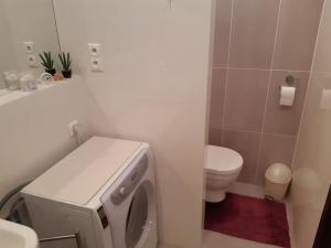 bagno con lavatrice e servizi igienici di Slnečný 2 izbový byt 5 minút od centra mesta a Zvolen
