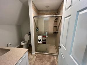 a bathroom with a shower with a toilet at Relaxing Retreat in the Heart of the Finger Lakes!- Dog Friendly and Hot tub in Springwater