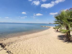 a beach with a palm tree and the ocean at فيلا in fayed in ‘Ezbet el-Ibrâshi