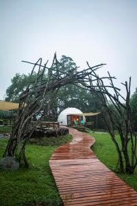 un chemin en bois avec un pont à racines d'arbres dans l'établissement Willkay Glamping Raco Tucumán, à Tafí Viejo
