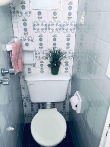 baño con aseo y planta en la pared en Buenos Aires Apartment en Buenos Aires