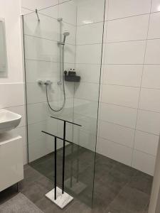 eine Glasdusche im Bad mit Waschbecken in der Unterkunft Deluxe Apartment Bochum in Bochum