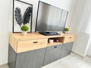 einen Fernseher auf einer Kommode mit Topfpflanzen in der Unterkunft Charming Apartment in Wien