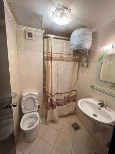 a small bathroom with a toilet and a sink at Pyramids Porto El Sokhna Familis Only in Ain Sokhna