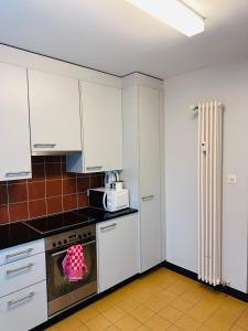 een keuken met witte kasten en een fornuis met oven bij Apt near Basel Centre and Airport in Bazel