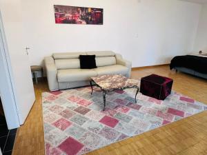 een woonkamer met een bank en een tapijt bij Apt near Basel Centre and Airport in Bazel