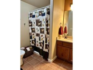 a bathroom with a shower curtain with a toilet and a sink at Sweet Pea in Red Lodge +7 photos