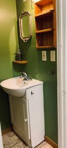 a bathroom with a sink and a mirror at Comfy Studio #3, Central Location, Parking in Halifax