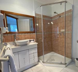 a bathroom with a shower and a sink at Swansea Cottages & Lodge Suites in Swansea