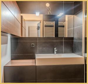 La salle de bains est pourvue d'un lavabo et d'un miroir. dans l'établissement Appart T3 Moderne Ambilly, à Ambilly