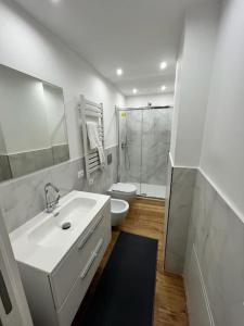 a bathroom with a sink and a toilet and a shower at Lazio apartment nel centro di Palermo in Palermo