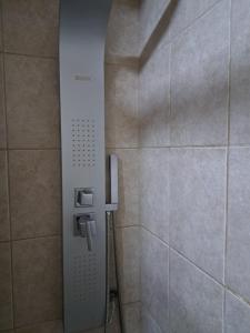um chuveiro numa casa de banho com uma parede gmaxwell gmaxwell gmaxwell gmaxwell gmaxwell gmaxwell em Casona con Barbacoa en Av princ em Montevidéu