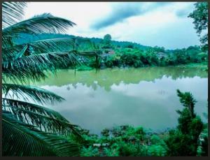 a body of water with palm trees in front of it at Amanzi Residence in Kandy