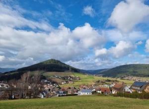 a small town on a hill with a green field at FeWo mit Pool in Baiersbronn in Baiersbronn