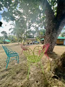 trzy kolorowe krzesła siedzące obok drzewa w obiekcie The Beach House Long Beach w mieście New Agutaya