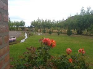 a view of a park with red flowers at Ushua Aike (Nuestro Lugar) in Los Antiguos