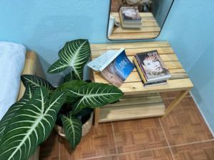 a table with a plant and books on it at Mây và Mây - Homestay Măng Đen in Kon Von Kla