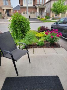 a chair sitting on a sidewalk next to flowers at Jack & Jill Private Suite @RoseGlen Place in Stamford