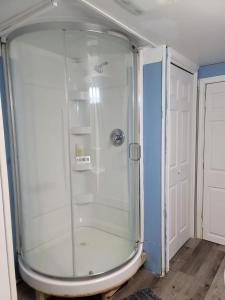 y baño con ducha y puerta de cristal. en Cosy Basement Apartment on the East side., en Saint John