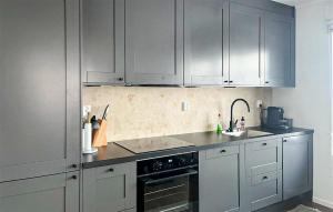 a kitchen with gray cabinets and a sink and a stove at Beautiful Apartment In Idre With House A Panoramic View in Idre