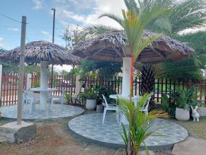 錫基霍爾的住宿－Mariella's Guest House，一个带桌子和遮阳伞及棕榈树的庭院
