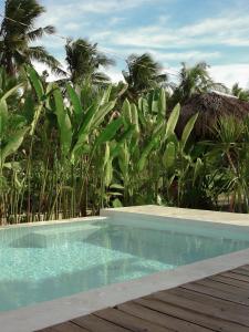 a swimming pool in front of a resort with palm trees at Single Fin Siargao in General Luna
