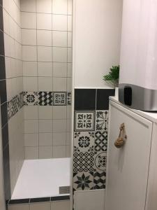 La petite salle de bains est pourvue d'une douche et d'un réfrigérateur. dans l'établissement Appartement d'une chambre avec wifi a Dijon, à Dijon