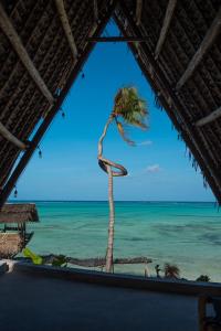 Be Zanzibar Boutique Hotel في Mfumbwi: شجرة نخيل على الشاطئ تشاهد من خلال النافذة