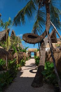 Mfumbwi的住宿－Be Zanzibar Boutique Hotel，棕榈树,绳子挂在树上
