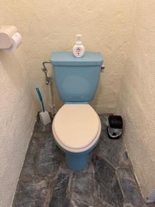 Baño con aseo azul en una esquina en Guesthouse Iyonchi, en Zamami