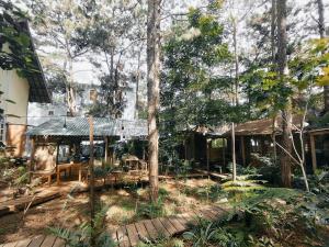 una casa en medio de un bosque en La Maison Homestay Măng Đen, en Kon Tum