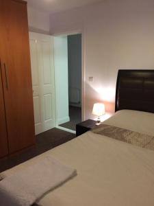 1 dormitorio con cama, lámpara y puerta en 39 Camden Wharf en Cork