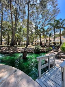 einem Fluss mit grünem Wasser und einer Holzbrücke in der Unterkunft Solanas- Green Park - Punta del este in Punta del Este + 50 Fotos