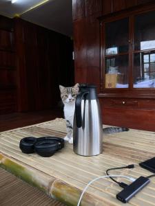 a cat sitting on a table next to a coffee pot at Eden Farmstay CNX 