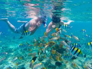 zwei Menschen schwimmen mit Fischen im Wasser in der Unterkunft DAILY TRIP KOMODO TOUR in Labuan Bajo