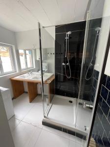 y baño con ducha y lavamanos. en Eden Forest & Spa, en Saint-Amand-les-Eaux