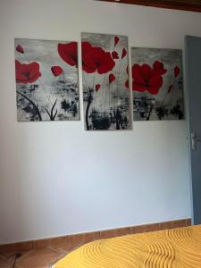 Fotografie z fotogalerie ubytování Anaïs Pool v destinaci Saint-Joseph