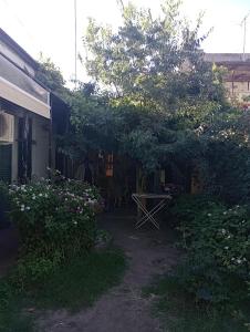 a garden with a picnic table and a tree at En La Plata Hostel El Pampa in La Plata +22 photos