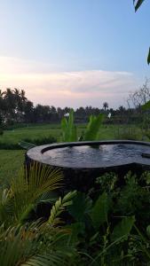 Zahrada ubytování Bali Beach Eco Villas Bali Batu Beach Hut
