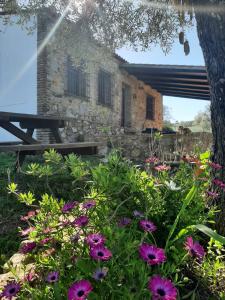 ArocheにあるVivienda Rural Aroche Parralejo Chicoの石造りの建物前の花の庭園