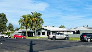a group of cars parked in a parking lot with a palm tree at Motel Myall in Dalby